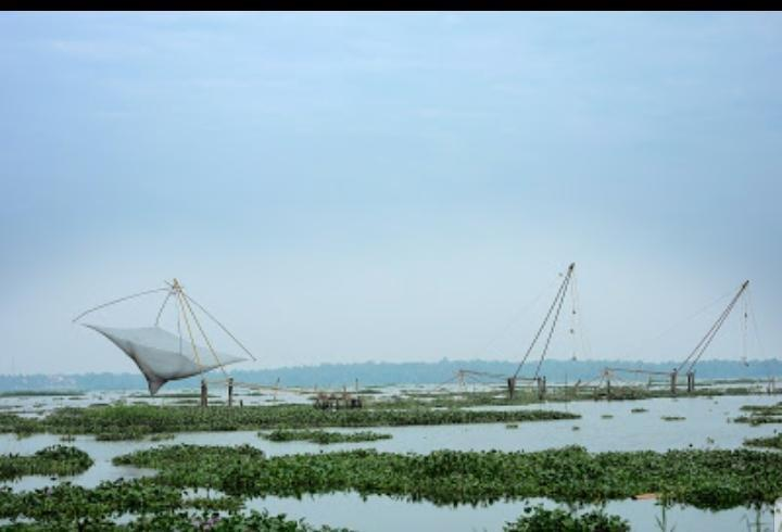 Luxury and Tranquility Redefined: Lake Vechoor Villas in Kerala’s Serene Backwaters